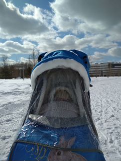 Санки-коляска Nika Kids