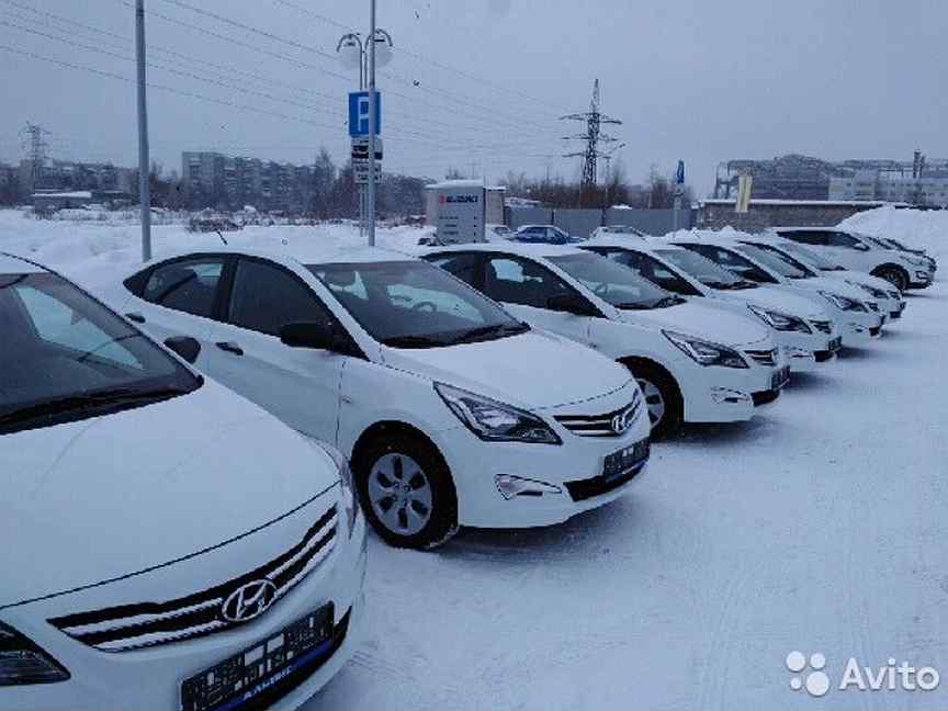 Аренда автомобиля петрозаводск. Таксист на солярисе белом. Авито аренда авто под такси. Аренда авто в Петрозаводске без водителя. Авито Петрозаводск вакансии.