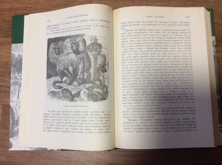 А.Э. Брэм «Жизнь животных» в 3-х томах