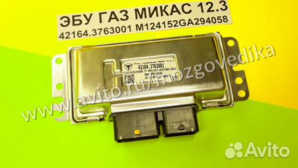 Эбу Мозги на газ, Газель Микас 12.3 42164.3763001