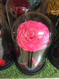 Роза в колбе, премиум