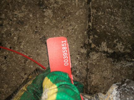 Стартер на seat Ibiza III 2006г