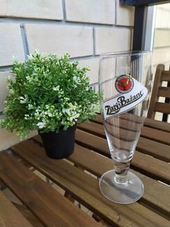 Пивной бокал