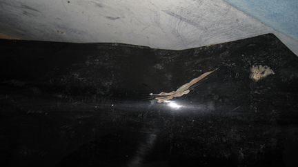 Крыло левое Acura RDX