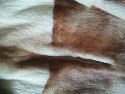 Шуба с соболем Saga Mink