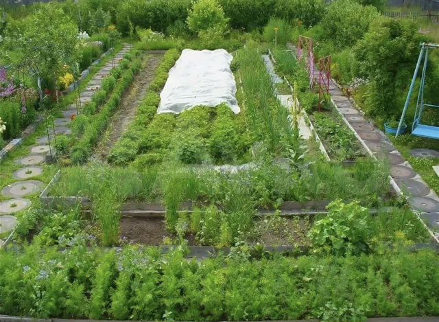 Дача 4 сотки дизайн с огородом и плодовыми деревьями