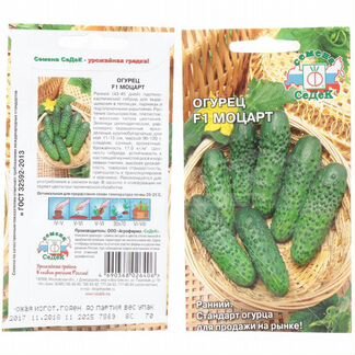 Семена огурцов оптом - Огурец Моцарт F1