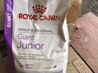 Корм для собак Royal Canin Giant Junior