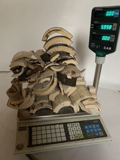 Бивень мамонта