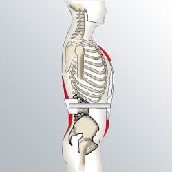 Гиперэкстензионный корсет 3х-точечный medi 3C