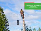 Вырубка, обрезка и удаление деревьев в Звенигороде объявление продам