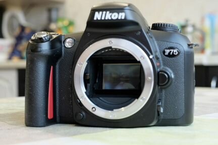 Nikon F75 + Nikkor 28-100mm Kit