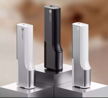 Мобильный принтер evebot