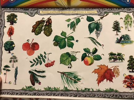 Электровикторина для детей 7-12 лет