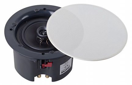 Громкоговоритель Visaton DL 25 +смартфон в подарок