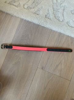 Ошейник для собак